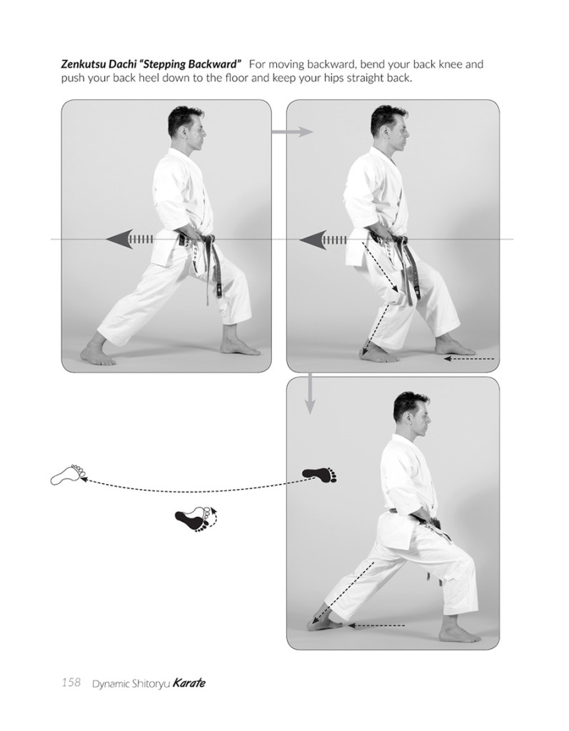 Dynamic Shitoryu Karate by Tanzadeh