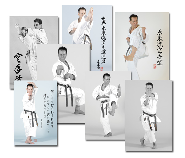 Seven Karate Posters by Sensei Tanzadeh – Dynamic Shitoryu Karate Book