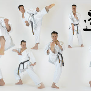 FullColor-KaratePoses-By-Sensei-Tanzadeh